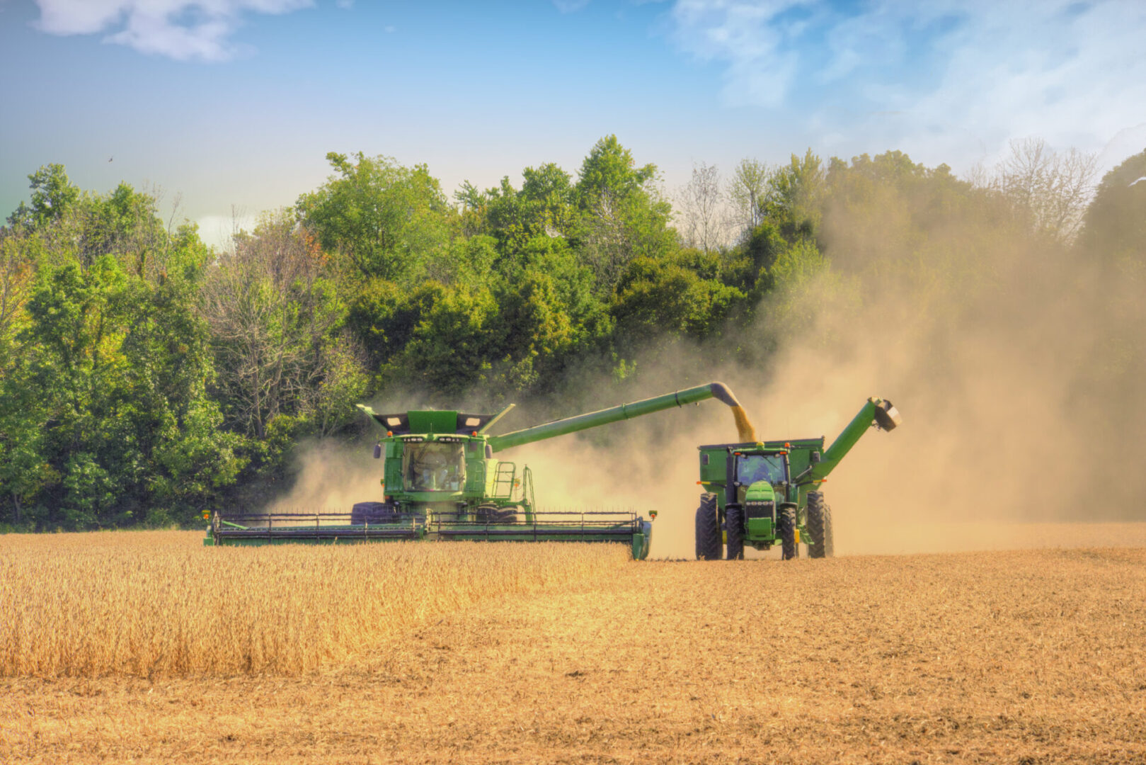 Harvesting grain with combine and tractor.